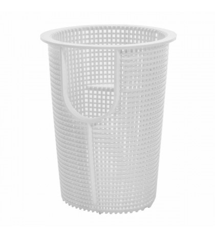 InGround 1 HP 115-230V Swimming Pool Pump - High Performance -  Speed