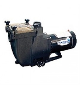 Blue Torrent Pool Products ACIMP1500 1.5 HP Typhoon Inground Pump