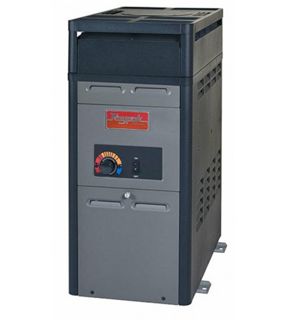 Raypak 014779 Natural  Pool Heater