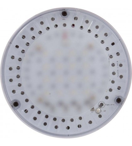 Repl Bulb, PureWhite 2, Pool, 12v, Amerlite/Full Moon LED in-ground pool light