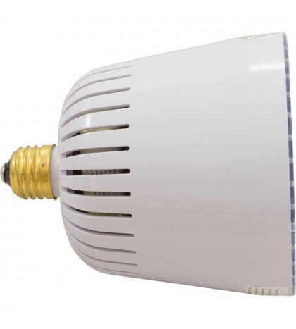 Repl Bulb, PureWhite 2, Pool, 12v, Amerlite/Full Moon LED in-ground pool light