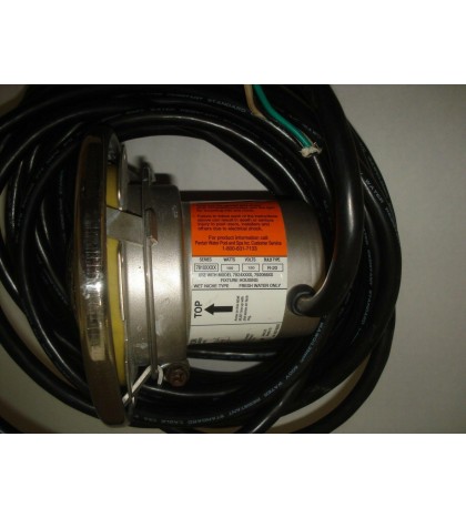 Pentair Underwater Submerged Swimming Pool Spa Light 120V 40-ft Cord 100W