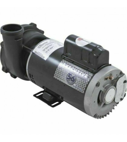 Waterway Plastics 3722021-1D Executive 56 Frame 5HP 230 Volt  Spa Pump