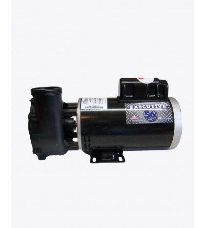 Waterway Plastics 3722021-1D Executive 56 Frame 5HP 230 Volt  Spa Pump