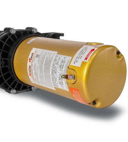 1.5HP Inground Swimming Pool Pump Large Strainer 115/230v Replacement