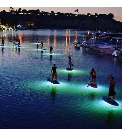 Nocqua Sport Edition