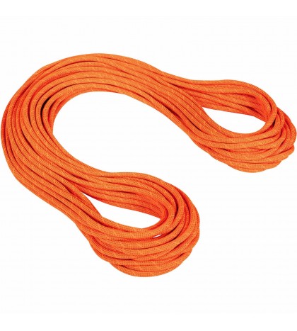 Mammut 9.8 Crag Dry Climbing Rope
