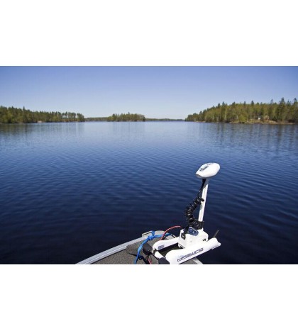 2020 HASWING CAYMAN W 12V 55LB  54