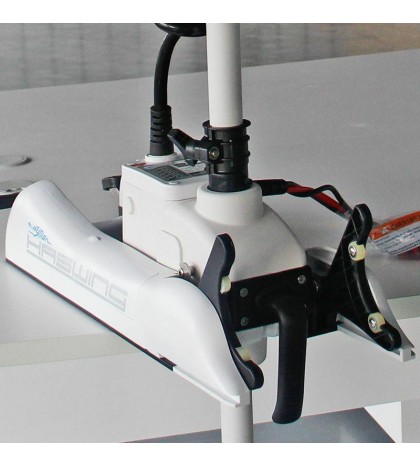 2020 HASWING CAYMAN W 12V 55LB  54