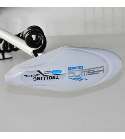 2020 HASWING CAYMAN W 12V 55LB  54