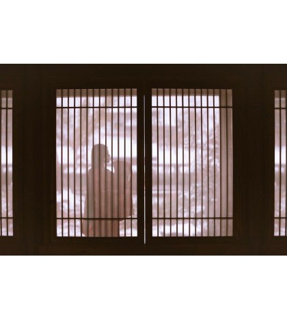 64.9 ”Bamboo Strips Varied Wide for Bows & Boat frame building Wholesale Amounts