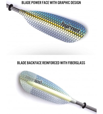 Hornet Watersports Graphic Fiberglass Kayak Paddle- Ideal for Touring, Fishing a