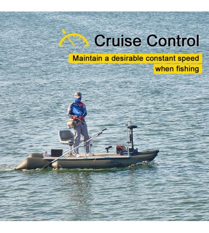 Haswing B 12V55LBS 48