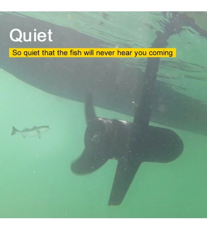 Haswing B 12V55LBS 48