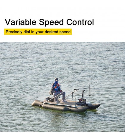 Haswing B 12V55LBS 48