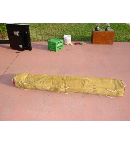 Inflatable raft - makes a great Backyard Kid'die  Pool