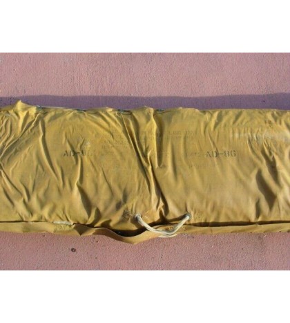 Inflatable raft - makes a great Backyard Kid'die  Pool