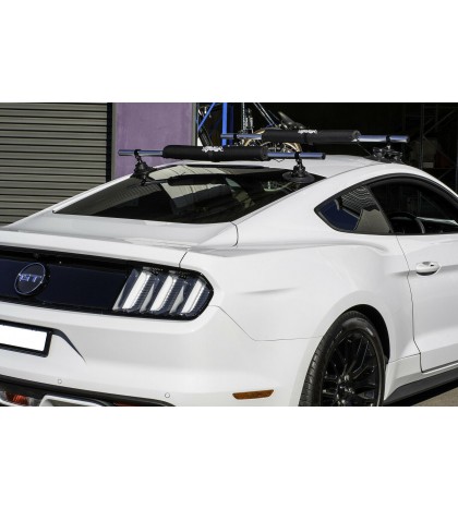 SeaSucker MONKEY BARS 2020 Edition- works on MOST cars, easy to install & remove