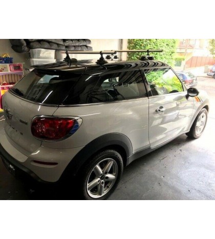 SeaSucker MONKEY BARS 2020 Edition- works on MOST cars, easy to install & remove