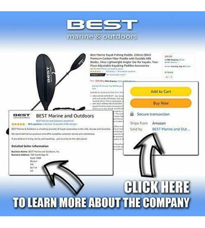 Kayak Fishing Paddle Lightweight Angler Oar ABS Blade Premium Carbon Fiber 250cm