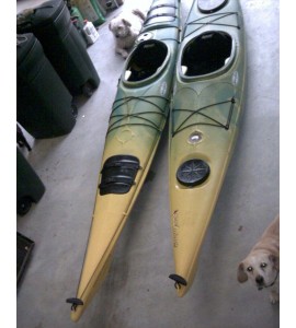 2 -14.5’ Wilderness Systems Kayaks, Cape Lookout & Cape Horn. Only garage hung