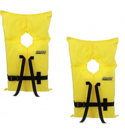 Intex Explorer Inflatable Kayak 2-Person with Air Pump and Life Jacket (2 Pack)