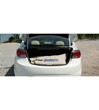 Sea Eagle SE9 Watersnake Motor Canopy Package Inflatable Runabout Boat Tender