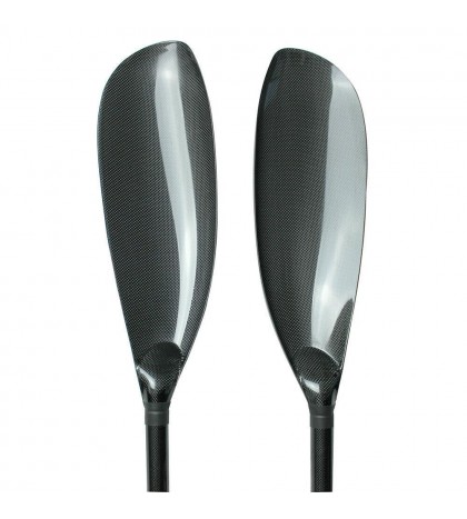 2 Piece Carbon Fiber Kayak Paddle With Wing Blade Oval Shaft 10cm Adjuster